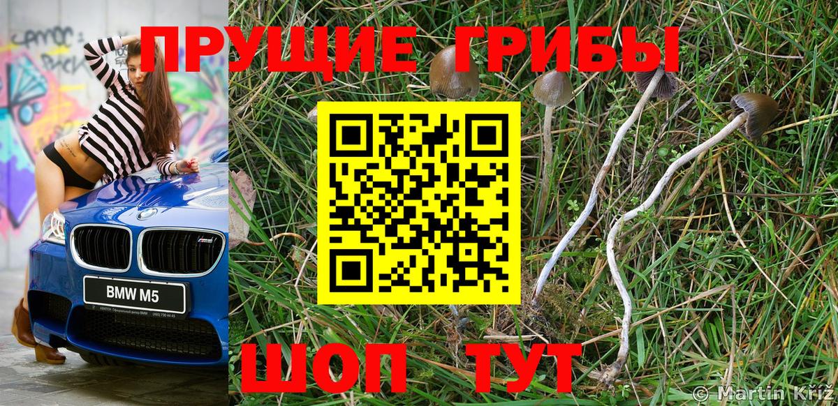 Галлюциногенные грибы Magic Shrooms Вышний Волочёк
