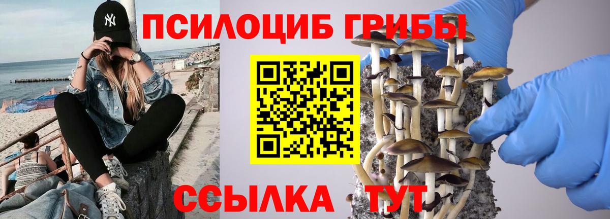 Галлюциногенные грибы Psilocybine cubensis  Галлюциногенные грибы мицелий  что такое   Вход с VPN  Вышний Волочёк 
